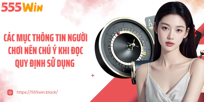 Các mục thông tin người chơi nên chú ý khi đọc quy định sử dụng 